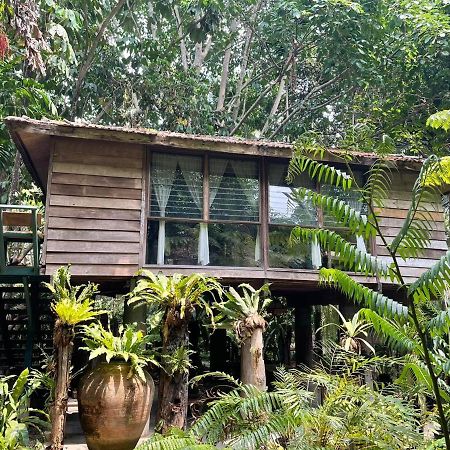 Fern Paradise Chiang Mai Exterior photo