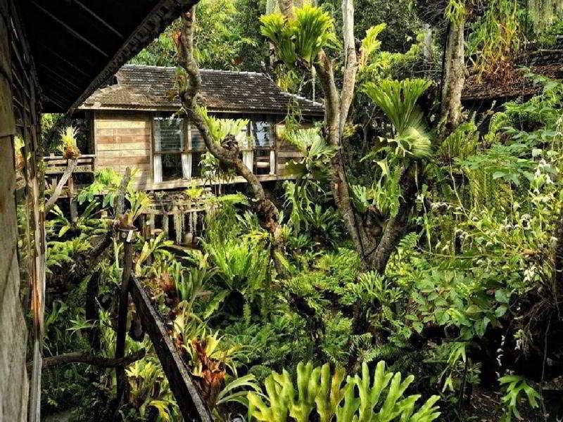 Fern Paradise Chiang Mai Exterior photo