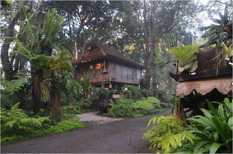 Fern Paradise Chiang Mai Exterior photo