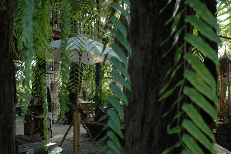 Fern Paradise Chiang Mai Exterior photo