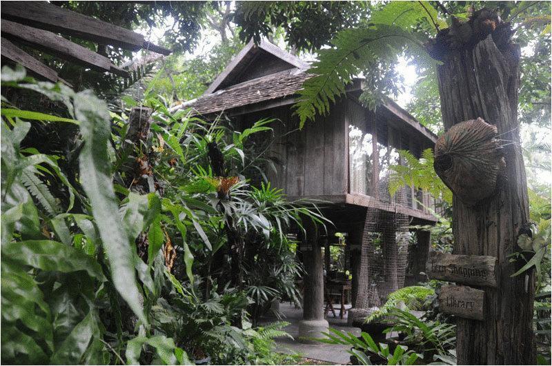 Fern Paradise Chiang Mai Exterior photo