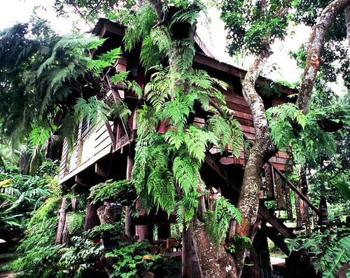 Fern Paradise Chiang Mai Exterior photo