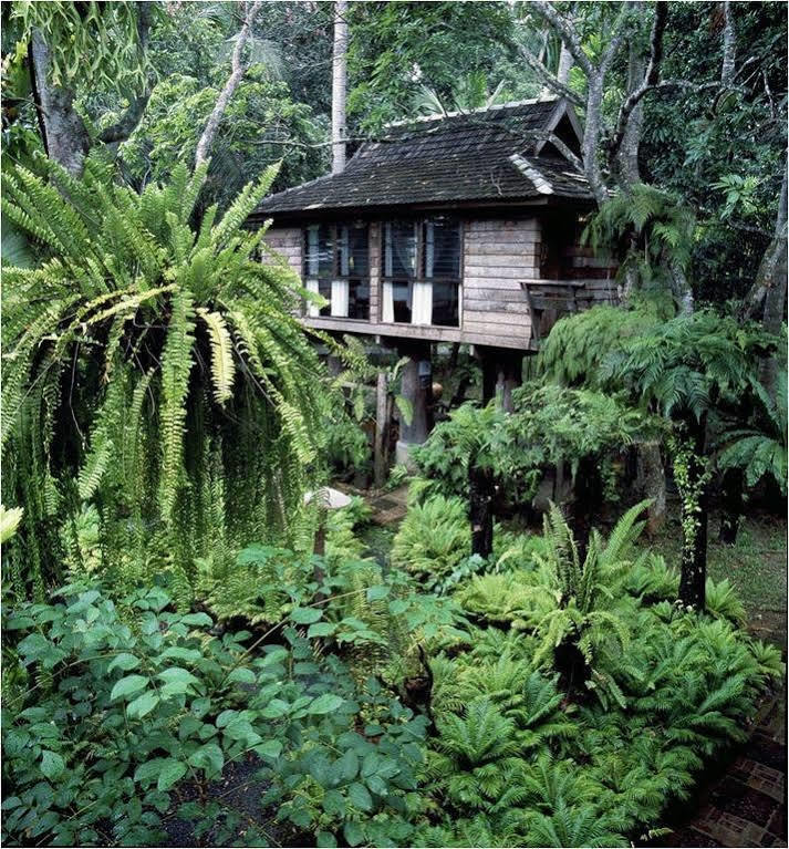Fern Paradise Chiang Mai Exterior photo