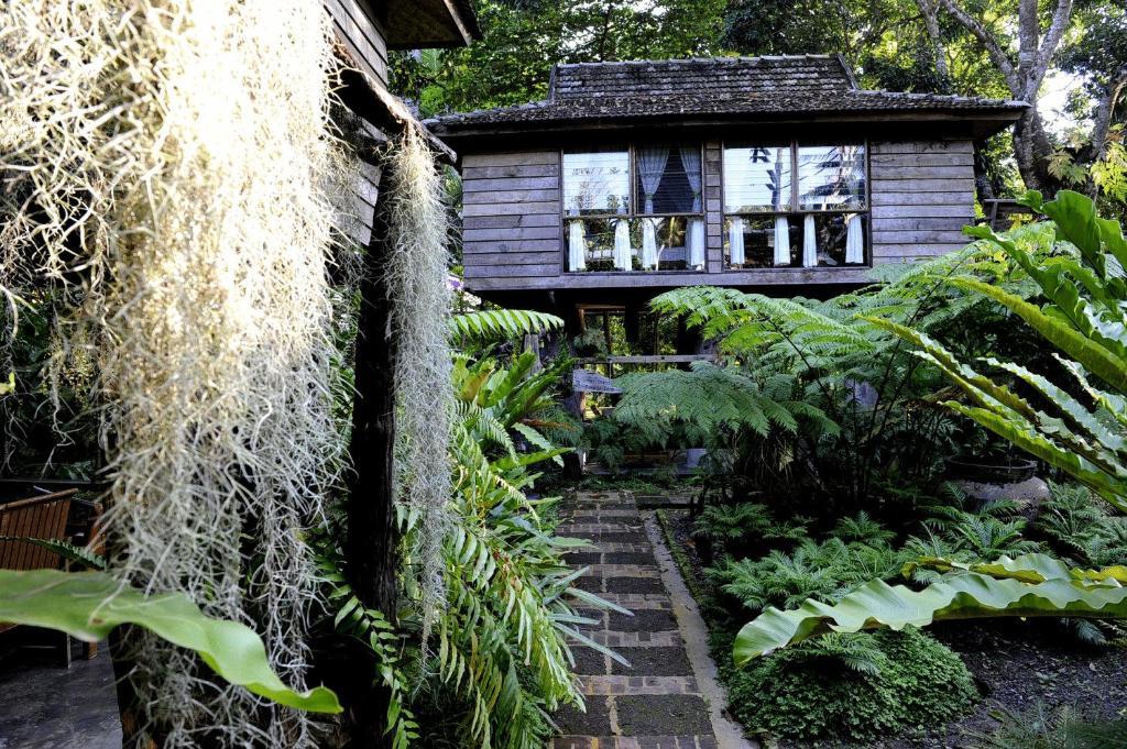 Fern Paradise Chiang Mai Room photo